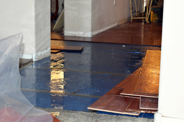 Professional Burst Pipe Cleanup technician working in Carriere, MS